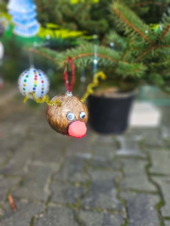 597607621_1414435590391920_2557327482822688819_n